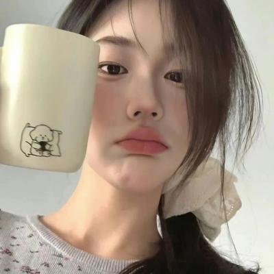 齐姆与友